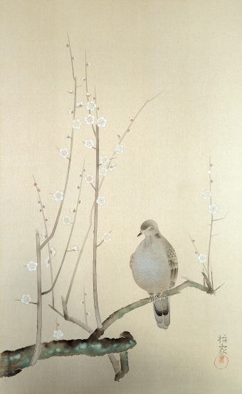 絹本による日本画－花岡哲象トップページ